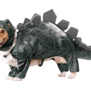 Stegosaurus Dog Costume