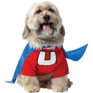 Under Dog Costume