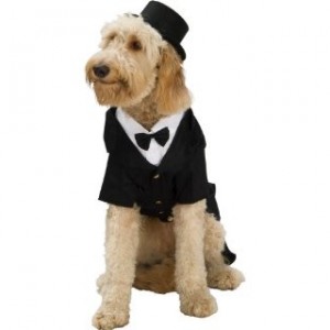 Dapper Dog Tuxedo Pet Costume