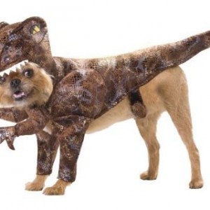 Raptor Dog Costume