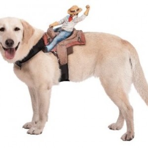 Dog Riders Cowboy Costume