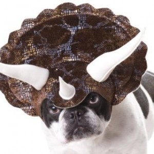 Triceratops Dog Costume