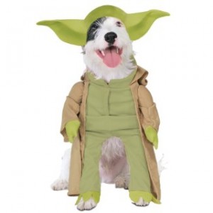 Yoda Pet Costume