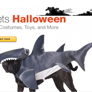 Pet Halloween Costumes, Toys, and More