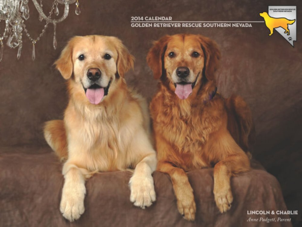 Calendar Cover