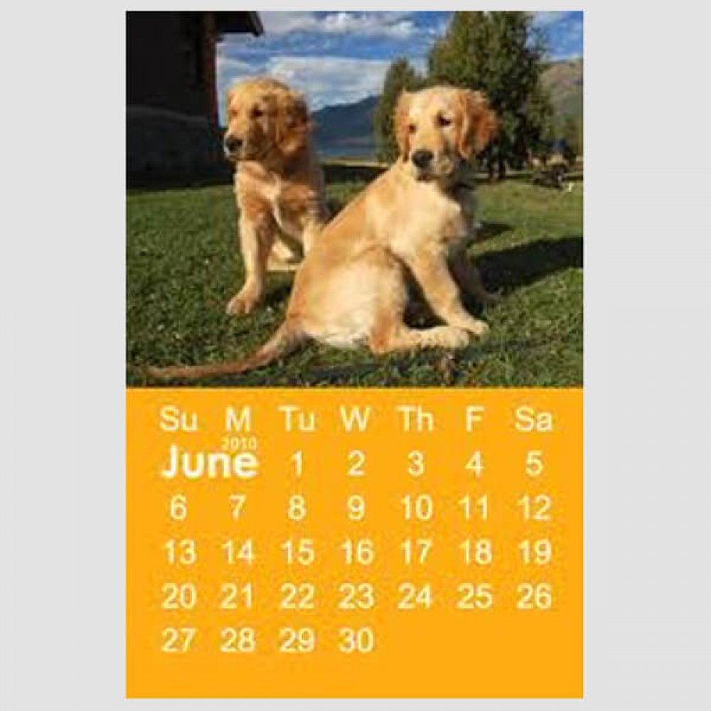 Calendar Month