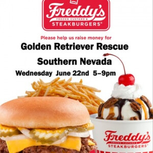 FREDDY'S FUNDRAISING NIGHT! @ Freddy's Frozen Custard & Steakburgers | Henderson | Nevada | United States